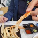 발왕산 물꼬기