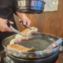 제주흑돼지백돼지 이미지