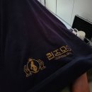 137 | 대전 유성 출장산후마사지 '퀸즈모아' 내돈내산 추천