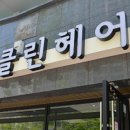 제클린헤어커티즘