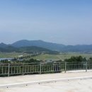 수원-1655 Daum카페