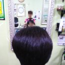 엘샤론코리아 이미지
