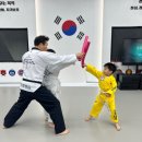 큰나무태권도장 이미지