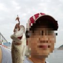 킹콩호 이미지