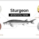 스톨존바이오(주) - 11589 | 스톨존바이오(주)