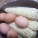 박달재휴양림 이미지