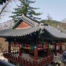 파계로 이미지