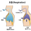 들숨날숨 이미지