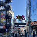 일진콘택트렌즈 | [일본/도쿄] 나혼자간다 4박5일 자유여행 3일차 (1)