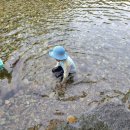 고당민박 이미지