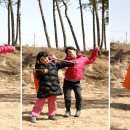 고고씽 이미지