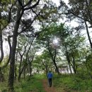 고내봉수터 이미지