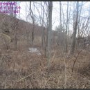 재포주유소 이미지