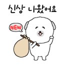 BelleU(벨유)