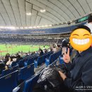 씨네트코리아 | 도쿄돔 직관 WBC 한국 vs 호주, 감동의 도가니탕 그 자체!