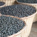 이유농장 이미지