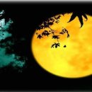 구름사이 이미지