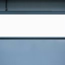 살랑 그루밍 이미지