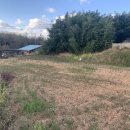 초촌면산직리보건진료소 | ♡부여토지(답)경매/충남부여군경매>충남 부여군 초촌면 산직리 218 경매 정보/ 2020타경21844