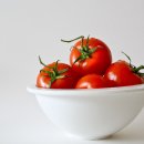 방패한의원 네이버블로그