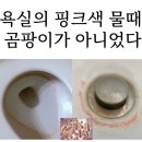 나노텐 이미지