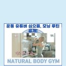 바디짐 이미지