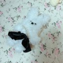 나의 감정 모루인형 만들기 | 서울 서대문구 또바기공방｜ '모루인형 클래스'