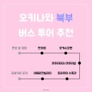 현청사 | 알찬 북부투어 추천 :: 만좌모/코우리섬/츄라우미수족관/아메리칸빌리지 후기/이동은 짧고 관광은 충분하게
