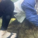 얼음골주차장 화장실 이미지