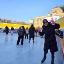 대천1리(광장)야외운동기구 | [겨울방학 필수코스/사전예약 방법] '서울광장스케이트장'에 간 홍순이