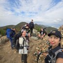 개림초등학교 | 금백종주 아닌 반백금종주 백패킹, 짧은코스지만 코스 정말 좋았다!