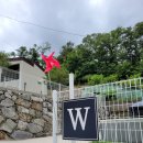 담양 단체 숙소 에이치하우스 W201,202,203 내돈내산 후기