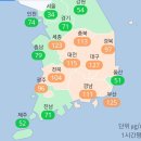 현재 미세먼지 지수 1위 지역 부산 이미지