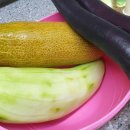 주식회사 헤세드 이미지