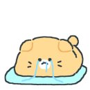 어흥어흥 이미지