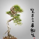 디자인명수 이미지