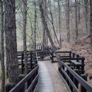 솔바람길 이미지