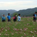 천생연분 이미지