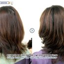 마샬헤어 네이버블로그
