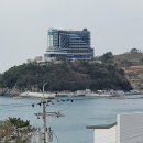 고향개장집 이미지