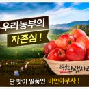 은풍골단샘사과