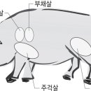 대신축산 이미지