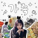 데디펫 | 멍아 아프지말고 건강하자