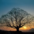 저 너머 달빛 이미지