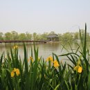 서동공원 이미지