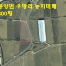 예천군 풍양면 우망리 토지매매 이미지