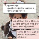 올레이디짐 가오리점 | 수유역 그룹PT 여성전용 올레이디짐 덕성여자대학교와 장기 제휴!