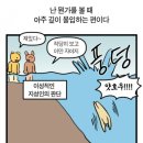프롬닥터