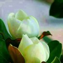 멋진 하루 이미지