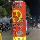 라이즈빌 | [인천 계양구] 가성비 좋은 야채곱창 맛집 계산동 곱창 계양왕곱창마을 솔직 후기